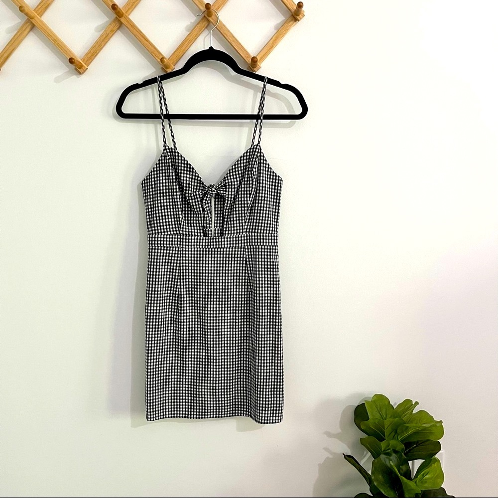 Wild Honey Gingham Dress